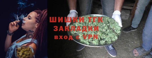 стаф Балахна